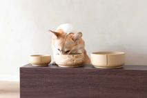 Klassieke voerbak hond LARGE - Dolphin Grey / Marm PIN CF0312