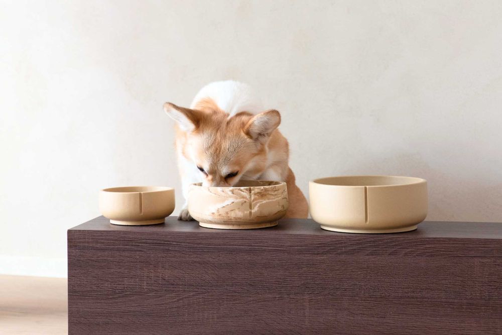 Klassieke voerbak hond MEDIUM - Foxy Terra / Marme PIN CF0212