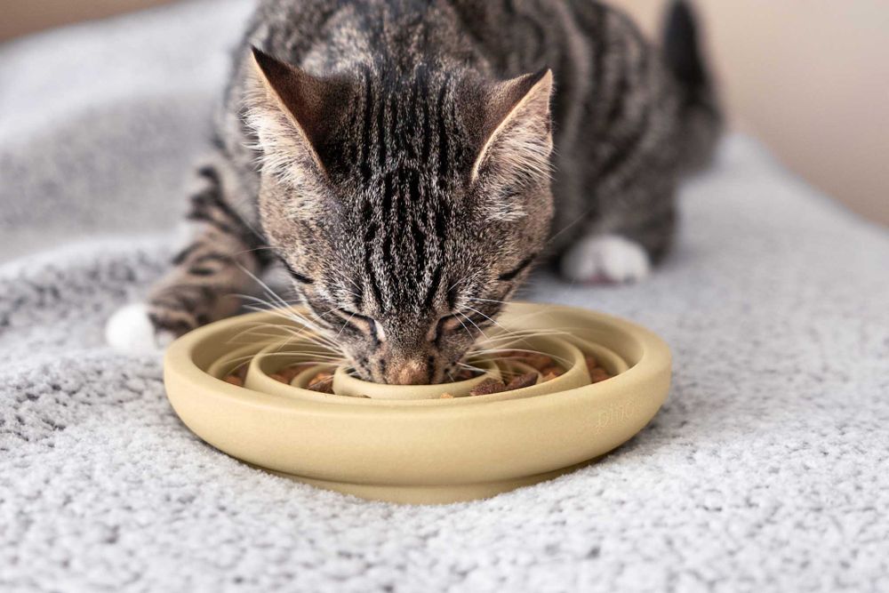 Antischrok voerbak kat - Foxy Terra / Egaal PIN SF0111