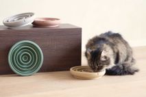 Antischrok voerbak kat - Foxy Terra / Egaal PIN SF0121