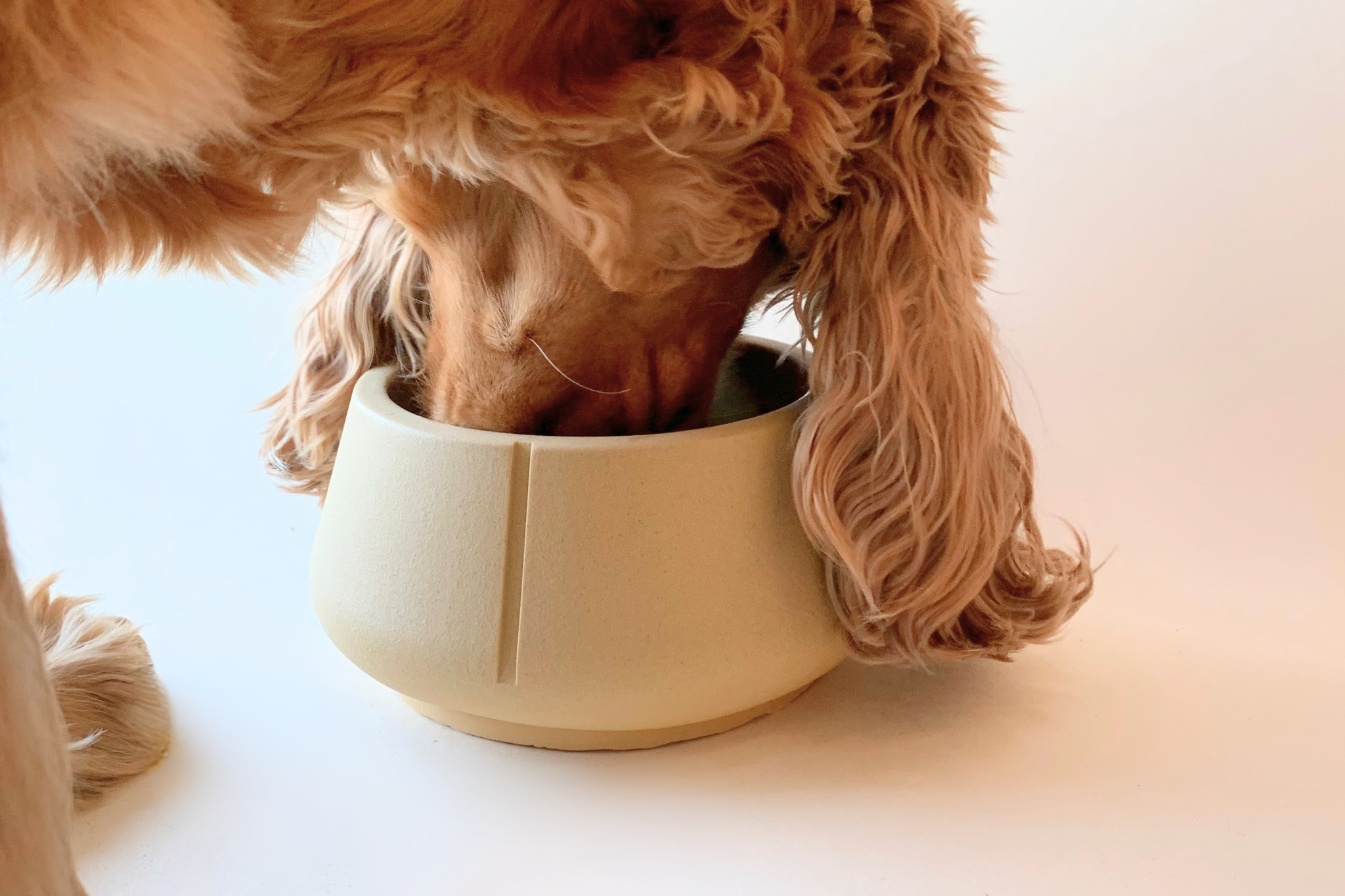 Voer-en drinkbak lange oren - Foxy Terra / Egaal