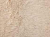 Fauteuil GLENN SOFT - Beige HIM-48-000053-B-BS