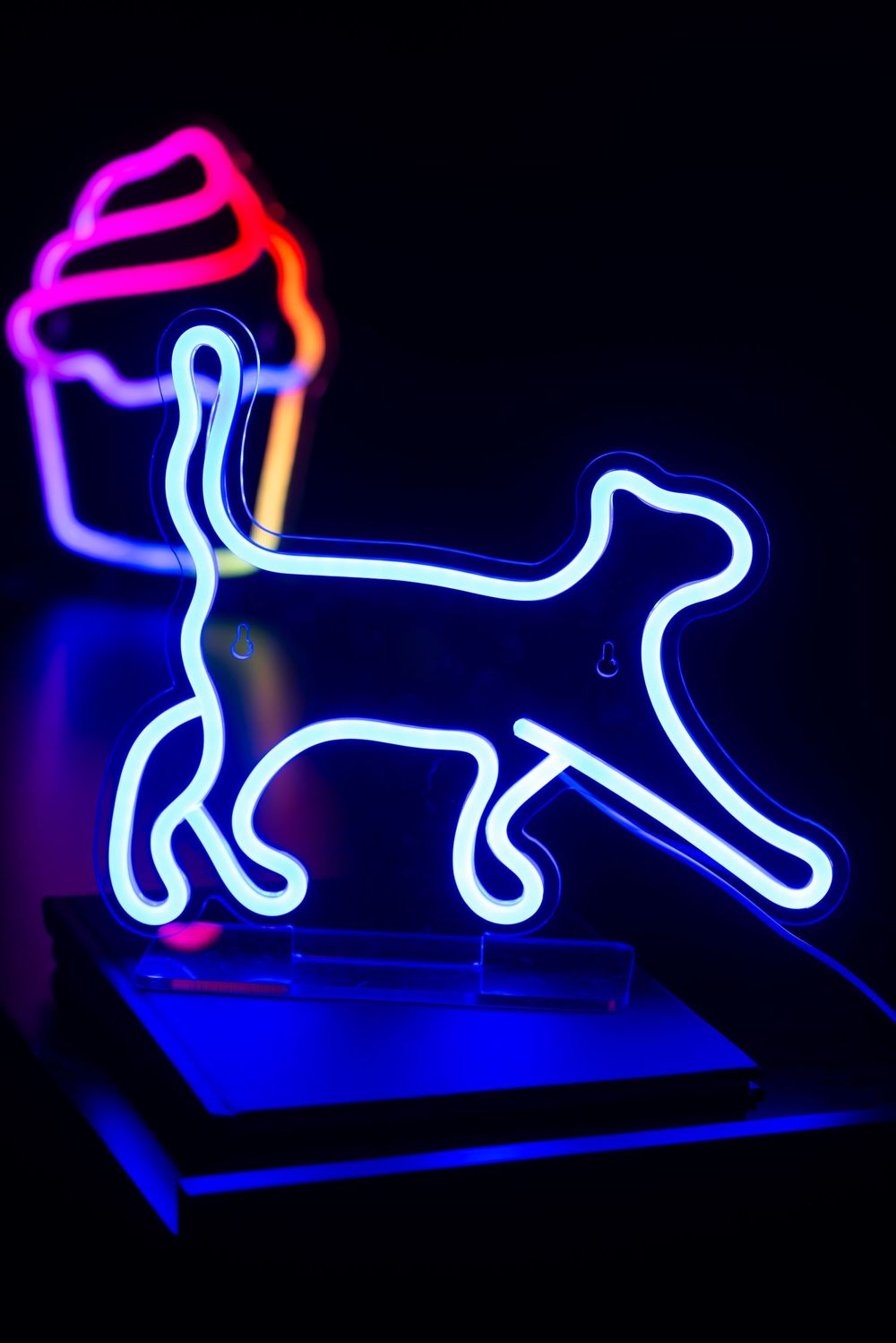 Neon licht WALKING CAT - Blauw PST LM2274BL
