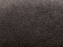 Eetkamerstoel SHELTON - Donkergroen MXF-296-001-ANT