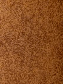 Eetkamerstoel SHELTON - Sand MXF-296-001-COG