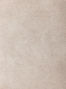 Eetkamerstoel SHELTON - Sand MXF-296-001-SAN