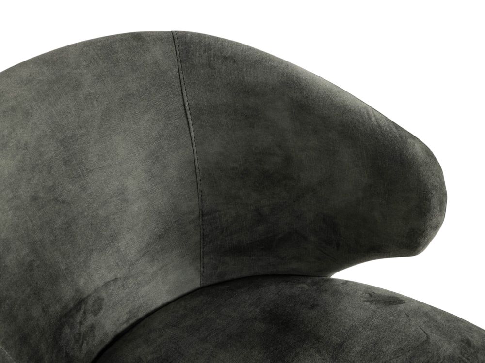 Armstoel CAPRICE - Groen FDF-28-000070