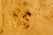 Salontafel QUINN - Wortelhoutfineer ZVR 1000618