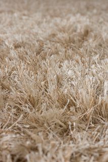 Tapijt HAIRY - Beige ZVR 1001065